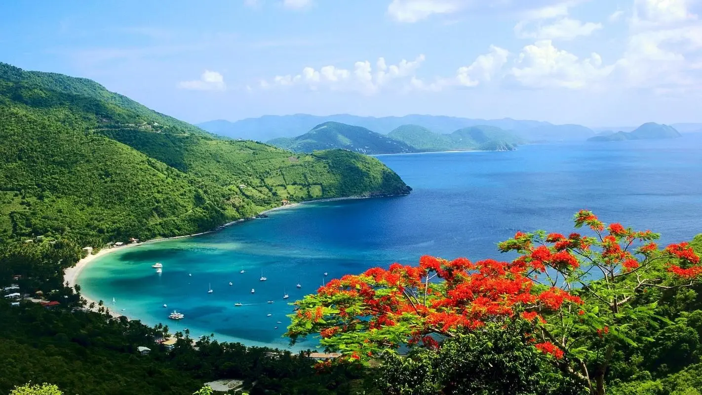 高端高端科技